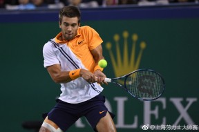 开云下载-羽毛球队强势横扫费德勒晋级半决赛，状态火热！的简单介绍